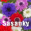 Sasanky